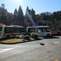桔梗山（バス）