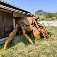 ヒトクサヤドカリ（瀬戸内国際芸術祭・作品番号＝【sd45】、作家＝尾身大輔）