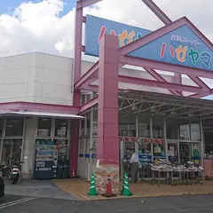 衣料スーパーハゼヤマ 桜木店