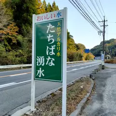 たちばな湧水