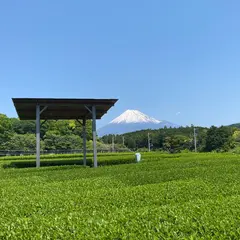 富士山まる茂茶園（株）