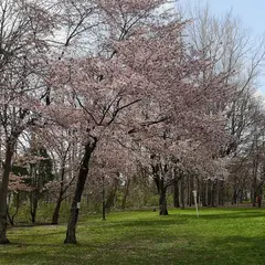屯田西公園