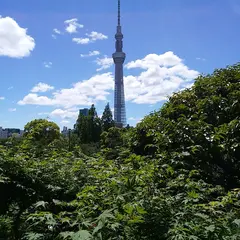 日本
