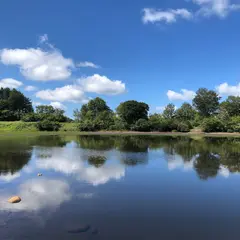 鼻毛の池