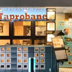 スパイシービストロ タップロボーン 神保町店（spicy bistro Taprobane Kandajimbocho branch）