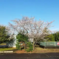 三重ナルミ（株）