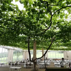 バーベキューレストランぐらっぱの丘