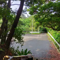 ヤンバルクイナ展望台駐車場