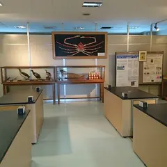 千葉大学 海洋バイオシステム研究センター