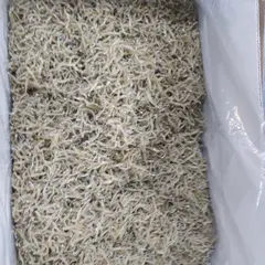 まるみ水産（株） 中央市場売場