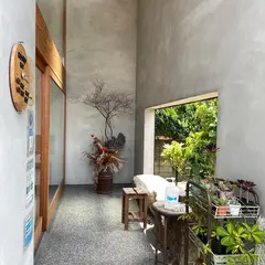 カクレミノ