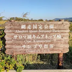 サロマ湖キムアネップ崎サンゴ草群落