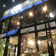 猫カフェ 猫喫茶 空陸家 赤坂ジャングル店