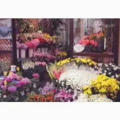 花の店「天遊」
