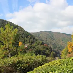 大河内山荘庭園 嵐峡展望台