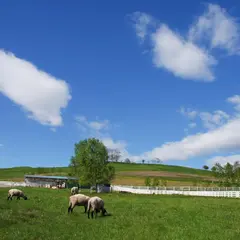 丸加高原展望台