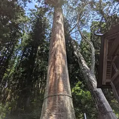 加茂神社