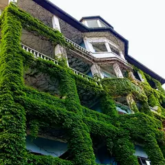 Hotel Jadran