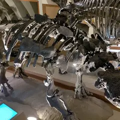 東海大学自然史博物館（恐竜のはくぶつかん）