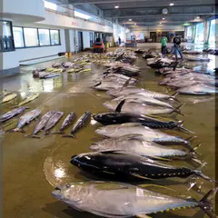 日南市漁協本所