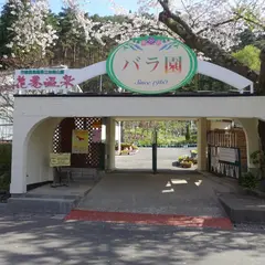 花巻温泉バラ園（Hanamaki Onsen Rose Garden）