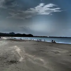 青島海浜