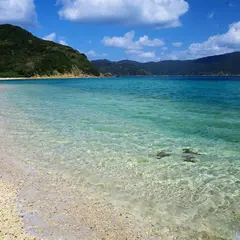 芝海岸