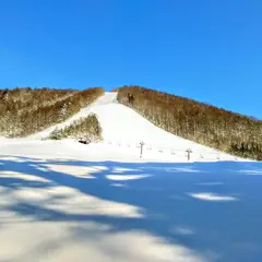 山小屋どんぐり