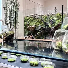 Botanical sPeech 銀座店(苔テラリウム・植物雑貨他) produced by TheOnlyOne_bottleterrarium