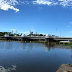 新発田川放水路