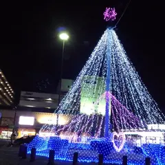桜井駅南口（バス）