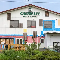 キャリー・リー弓ヶ浜公園店