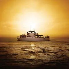 BIG Sunset Dinner Cruise Guam