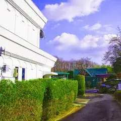 ガラスの城
