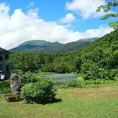 まいづるや