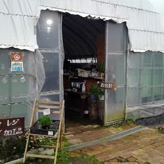 ざおうハーブ