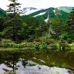 大雪高原温泉 沼巡りコース遊歩道（大雪山国立公園）