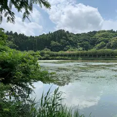 八幡湖