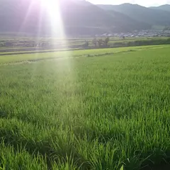 びわ湖スカイパーク パラグライダースクール
