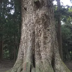 館神社