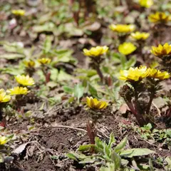 よませどんぐりの森公園