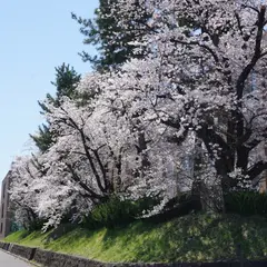 長野工業高等専門学校