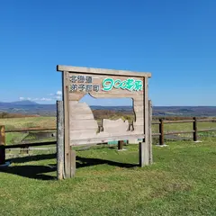 900草原駐車場