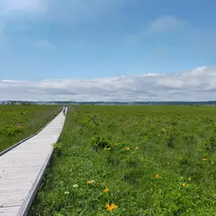 霧多布湿原パーキング