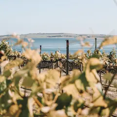 Bay of Shoals Wines