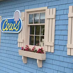 COWS Peakes