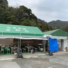 かき小屋せむら 青海島イワガキ育成研究会