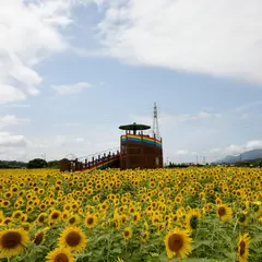道の駅 おおとう桜街道 さくら館