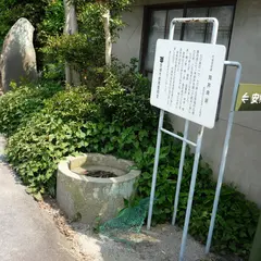 筒井泉