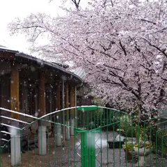 認定こども園こどものもり